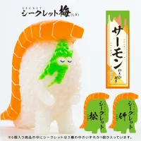Sen-ti-nel SUSHI MONSTER SUSHI-L.A. 1/1 SCALE (SUSHI SIZE) FIGURE COLLECTION 2 (BOX OF 6) - SUSHI-L.A. - photo 12