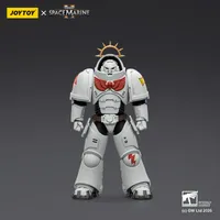 JOYTOY Game Edition White Scars Heavy Intercessor with Heavy Bolt Rifle and Bolt Pistol - Warhammer 40K - photo 1