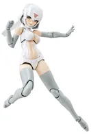B1R-L CHASSIS KIT SKIN COLOR A