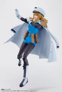 TAMASHII NATIONS SPIRITS "SHY", TAMASHII NATIONS S.H.Figuarts - SHY - photo 8