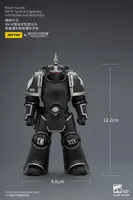 JOYTOY Raven Guard MK III Tactical Legionary with Bolter and Bolt Pistol - Warhammer 40K - photo 22
