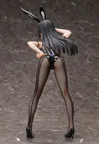 FREEing Ruiko Saten: Bunny Ver. - A Certain Scientific Railgun - photo 5