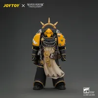 Imperial Fists Champion Consul with Combi-Melta and Power Sword