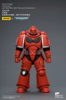 JOYTOY Blood Angels Intercessor with Bolt Rifle, Bolt Pistol and Chainsword - Warhammer 40K - photo 14