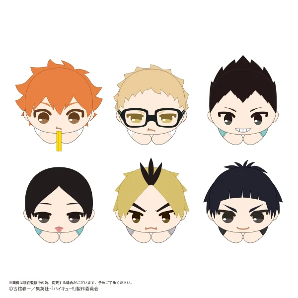 Haikyu!! HUG CHARACTER COLLECTION9 (6pc per box)
