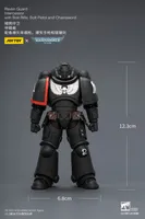 JOYTOY Raven Guard Intercessor with Bolt Rifle, Bolt Pistol and Chainsword - Warhammer 40K - photo 16