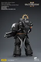 JOYTOY Game Edition Raven Guard Heavy Intercessor with Heavy Bolt Rifle and Bolt Pistol - Warhammer 40K - photo 15