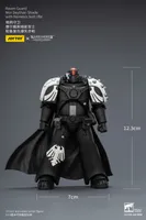 JOYTOY Raven Guard Mor Deythan Shade with Nemesis bolt rifle - Warhammer 40K - photo 22