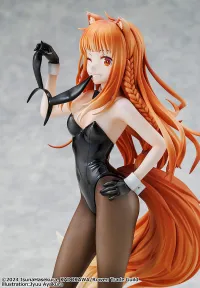 KADOKAWA Spice and Wolf: MERCHANT MEETS THE WISE WOLF Holo Light Novel bunny ver. illustration by Jyuu Ayakura - Spice and Wolf - photo 8