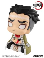 MegaHouse Lookup Demon Slayer： Kimetsu no Yaiba Gyoumei Himejima(Repeat) - Demon Slayer: Kimetsu no Yaiba - photo 9