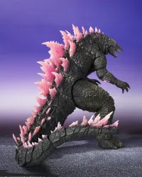 TAMASHII NATIONS GODZILLA Evolved FROM GODZILLA x KONG: THE NEW EMPIRE [2024] "Godzilla x Kong: The New Empire (2024)", TAMASHII NATIONS  S.H.MonsterArts - Godzilla - photo 6