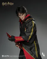 Queen Studios INART - Harry Potter and the Goblet of Fire - Harry Potter 1/6 Collectible Figure - Harry Potter - photo 13