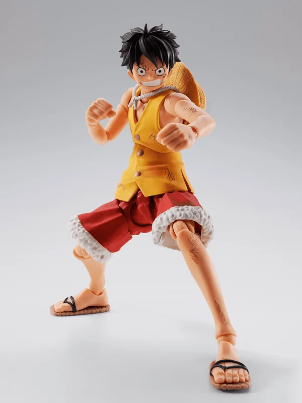 MONKEY D LUFFY -Summit War of Marineford-