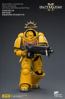 JOYTOY Game Edition Imperial Fists Heavy Intercessor with Heavy Bolt Rifle and Bolt Pistol - Warhammer 40K - photo 17