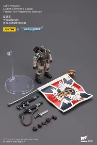 JOYTOY Astra Militarum Cadian Command Squad Veteran with Regimental Standard - Warhammer 40K - photo 8