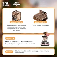 TNT SPACE Rayan Let’s Date series figures Rayan - Rayan - photo 3