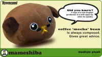 Mameshiba Medium Plush - Mocha Bean