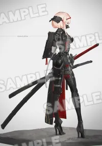 WING SAMURAI - FALSLANDER - photo 11