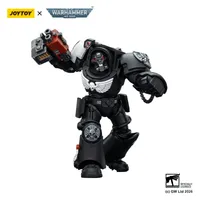 JOYTOY Raven Guard Terminator 2 with Power Fist and Storm Bolter - Warhammer 40K - photo 11