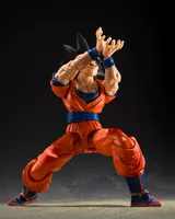 TAMASHII NATIONS SON GOKU <THE KIND-HEARTED SAIYAN> "DRAGON BALL Z" - Dragon Ball Z - photo 8