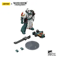 JOYTOY Sons of Horus Legion Apothecary - Warhammer 40K - photo 11