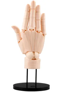 KOTOBUKIYA ARTIST SUPPORT ITEM HAND MODEL/R -PALE ORANGE- - Art & Display - photo 1