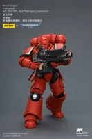 JOYTOY Blood Angels Intercessor with Bolt Rifle, Bolt Pistol and Chainsword - Warhammer 40K - photo 23