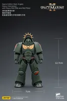 JOYTOY Game Edition Dark Angels Heavy Intercessor with Heavy Bolt Rifle and Bolt Pistol - Warhammer 40K - photo 23