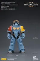 JOYTOY Game Edition Space Wolves Heavy Intercessor with Heavy Bolt Rifle and Bolt Pistol - Warhammer 40K - photo 20