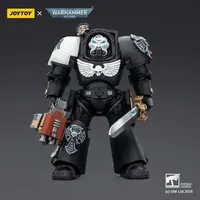 JOYTOY Raven Guard Terminator 1 with Power Sword and Storm Bolter - Warhammer 40K - photo 1