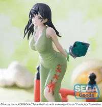 SEGA Luminasta "Tying the Knot with an Amagami Sister" "Yae Amagami" - Tying the Knot with an Amagami Sister - photo 3