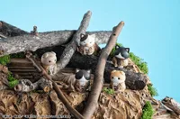 MegaHouse MEGA CAT PROJECT Attack on Titan Attack on Tinyan Gathering Scout Regiment danyan! (Repeat) (8pc per box) - Attack on Titan - photo 7