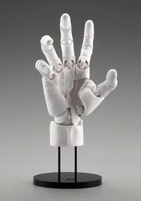 KOTOBUKIYA ARTIST SUPPORT ITEM HAND MODEL MEN’S/R -WHITE- - Art & Display - photo 5