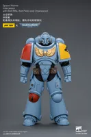 JOYTOY Space Wolves Intercessor with Bolt Rifle, Bolt Pistol and Chainsword - Warhammer 40K - photo 14