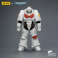 JOYTOY White Scars Intercessor with Bolt Rifle, Bolt Pistol and Chainsword - Warhammer 40K - photo 1