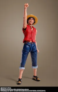 TAMASHII NATIONS NAMI（A Netflix Series: ONE PIECE） "A Netflix Series: ONE PIECE", TAMASHII NATIONS S.H.Figuarts - ONE PIECE - photo 2