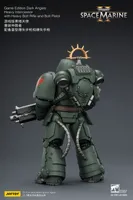JOYTOY Game Edition Dark Angels Heavy Intercessor with Heavy Bolt Rifle and Bolt Pistol - Warhammer 40K - photo 16