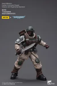 JOYTOY Astra Militarum Cadian Command Squad Veteran with Regimental Standard - Warhammer 40K - photo 6