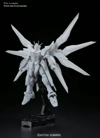 BANDAI HOBBY RG 1/144 #14 ZGMF-X20A STRIKE FREEDOM GUNDAM - Mobile Suit Gundam SEED Destiny - photo 2