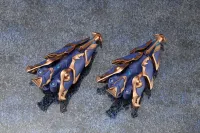 KOTOBUKIYA XenoAlma Trickle Dekapodia - ARCANADEA - photo 20