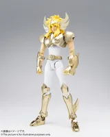 SAINT CLOTH MYTH CYGNUS HYOGA [NEW BRONZE CLOTH] -GOLDEN LIMITED EDITION- [TNS Exclusive]