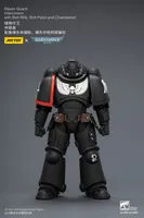 JOYTOY Raven Guard Intercessor with Bolt Rifle, Bolt Pistol and Chainsword - Warhammer 40K - photo 14