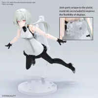 BANDAI HOBBY Figure-rise Standard NOIR - SYNDUALITY - photo 5