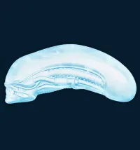 KOTOBUKIYA Silicone Tray - Alien Big Chap - Alien (Movie Franchise) - photo 2