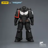 JOYTOY Raven Guard Intercessor with Bolt Rifle, Bolt Pistol and Chainsword - Warhammer 40K - photo 1