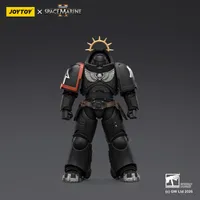 JOYTOY Game Edition Raven Guard Heavy Intercessor with Heavy Bolt Rifle and Bolt Pistol - Warhammer 40K - photo 1