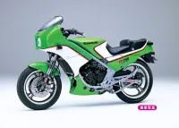 Hasegawa [BK12] 1:12 Kawasaki KR250 (KR250A) - Scale Kits - photo 13