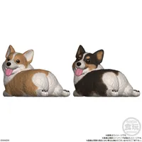 BANDAI Mocchiri Kororin Dogs (Box/12), Bandai Shokugan Mocchiri Kororin - Mocchiri Kororin - photo 5