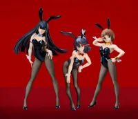 FREEing Satsuki Kiryuin: Bunny Ver. - KILL la KILL - photo 8