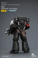 JOYTOY Raven Guard Intercessor with Bolt Rifle, Bolt Pistol and Chainsword - Warhammer 40K - photo 19